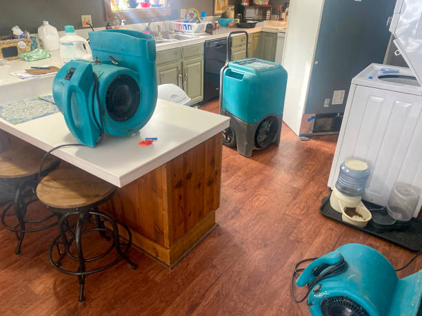 Best Professional water damage repair  in Madison, OH