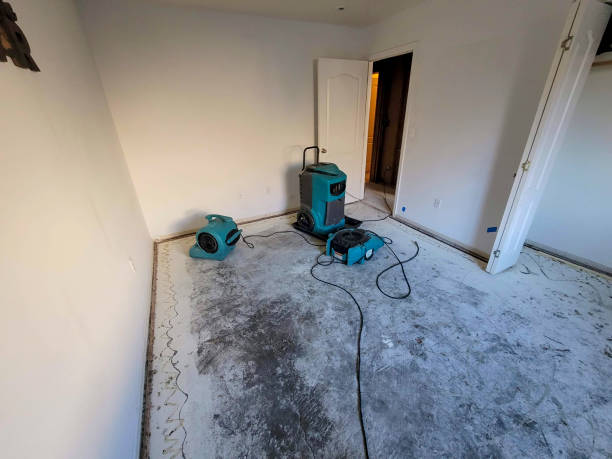 Best Fire Damage Restoration  in Madison, OH