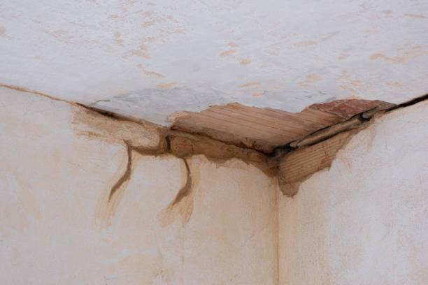 Best Sewage cleanup and water damage restoration  in Madison, OH