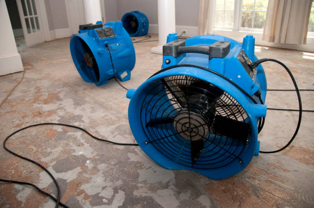 Best Flood damage cleanup  in Madison, OH