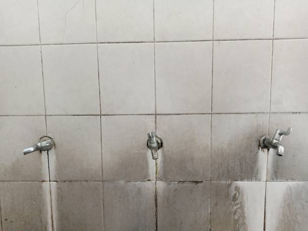 Best Flood restoration services  in Madison, OH