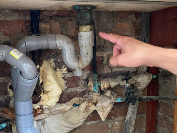 Best Mold removal after water damage  in Madison, OH