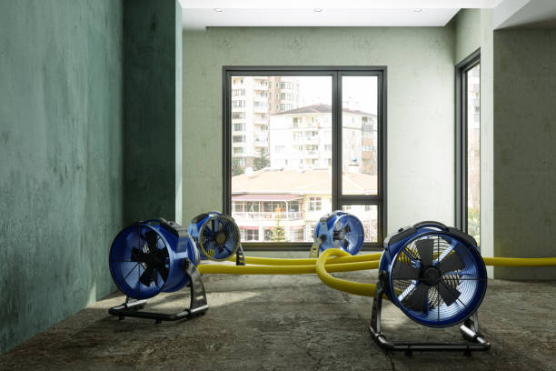  Madison, OH Water damage restoration Pros